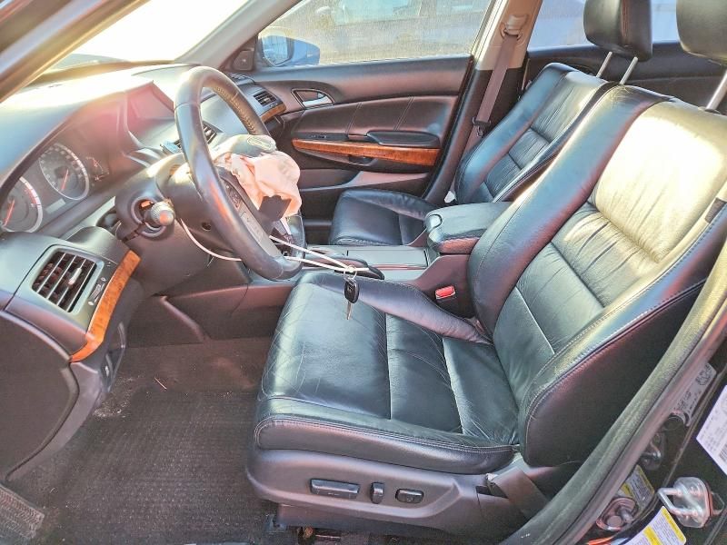 2011 Honda Accord exl