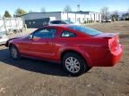 2008 Ford Mustang