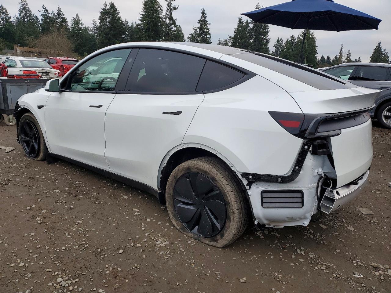 2026 Tesla Model y
