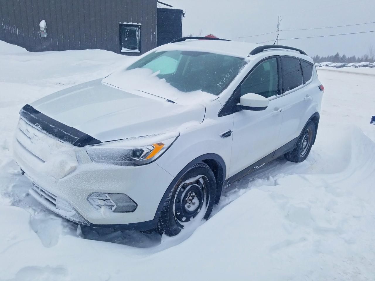 2019 Ford Escape sel