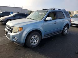 2009 Ford Escape Hybrid for sale in Martinez, CA
