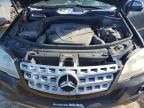 2009 Mercedes-Benz Ml 350