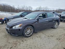 2011 Nissan Maxima for sale in Marlboro, NY