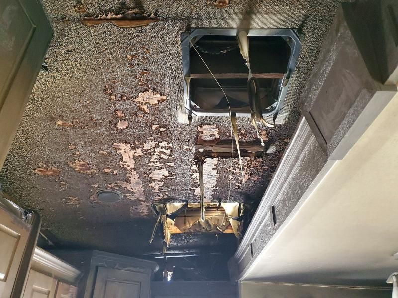 2019 Arctic Fox Silver fox Edition s