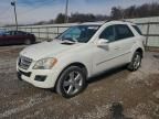 2011 Mercedes-Benz Ml 350 4matic