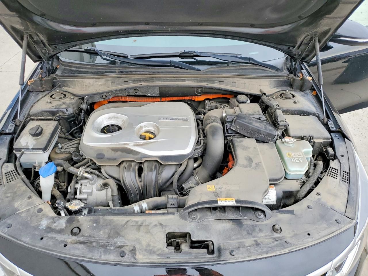 2019 KIA Optima Hybrid