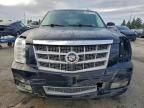 2011 Cadillac Escalade esv Platinum