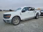 2025 Ford F150 xlt