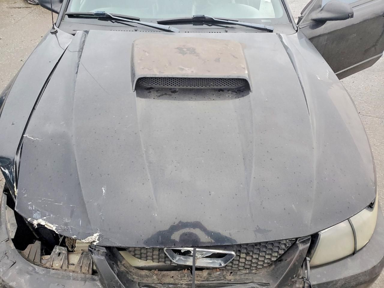 2001 Ford Mustang gt