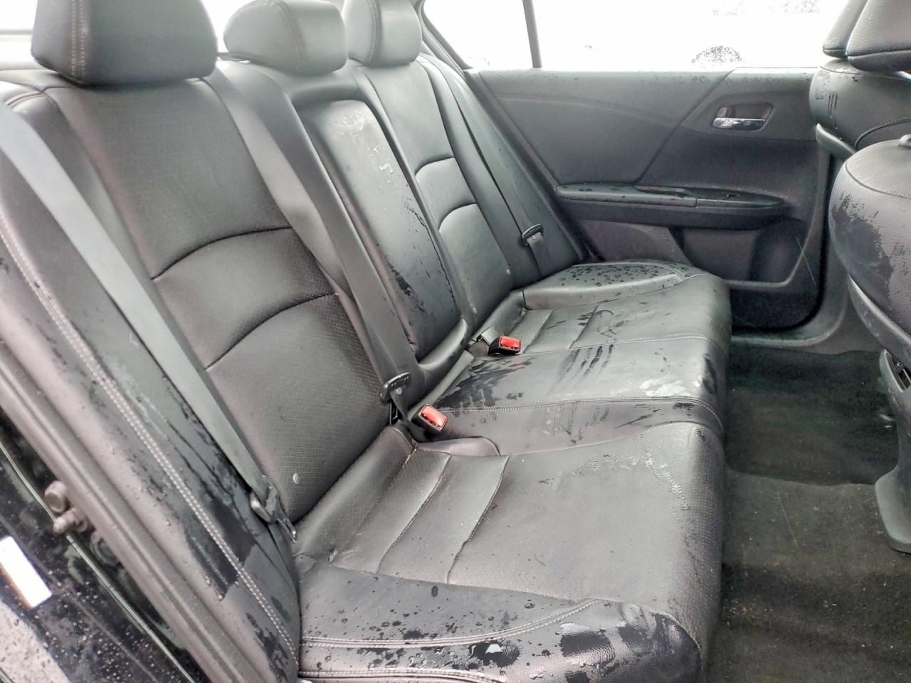 2014 Honda Accord exl