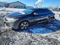 Nissan salvage cars for sale: 2017 Nissan Maxima 3.5s