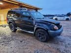 2001 Nissan Xterra xe