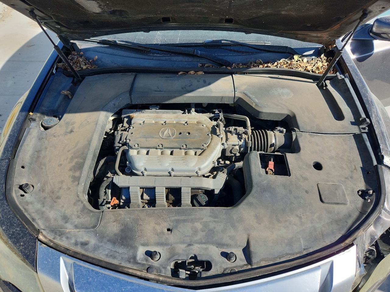 2009 Acura TL