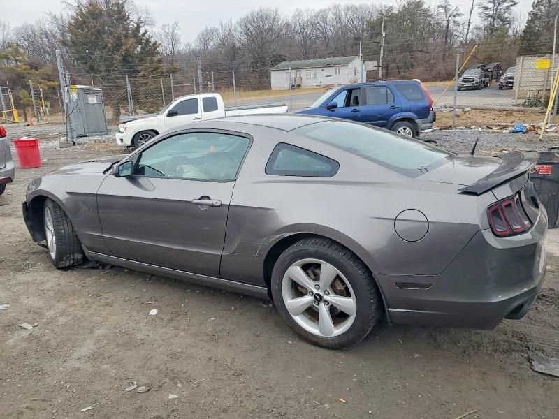 2014 Ford Mustang gt