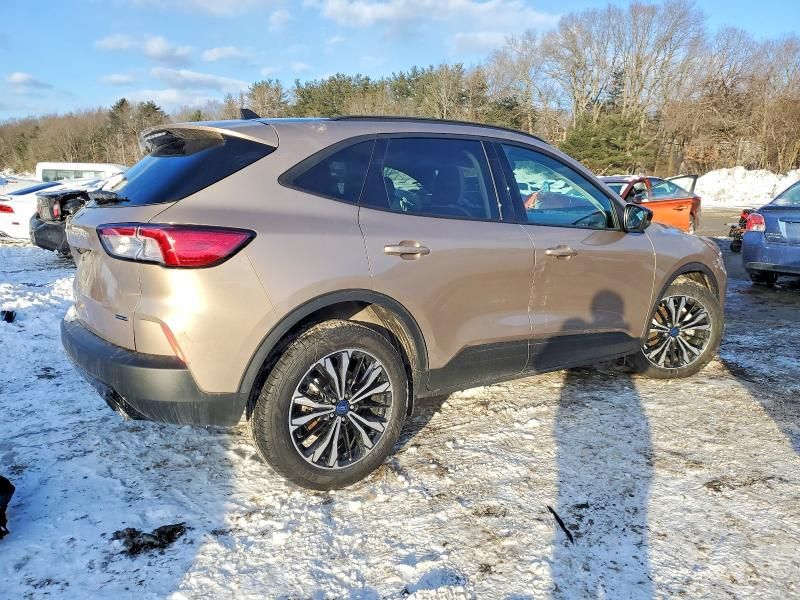 2021 Ford Escape se