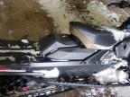 2026 Skidoo Renegade