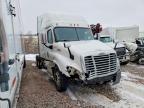 2019 Freightliner Cascadia 125 Semi Truck