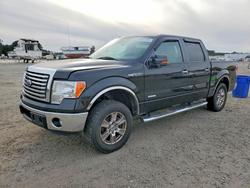 Ford salvage cars for sale: 2012 Ford F150 Supercrew