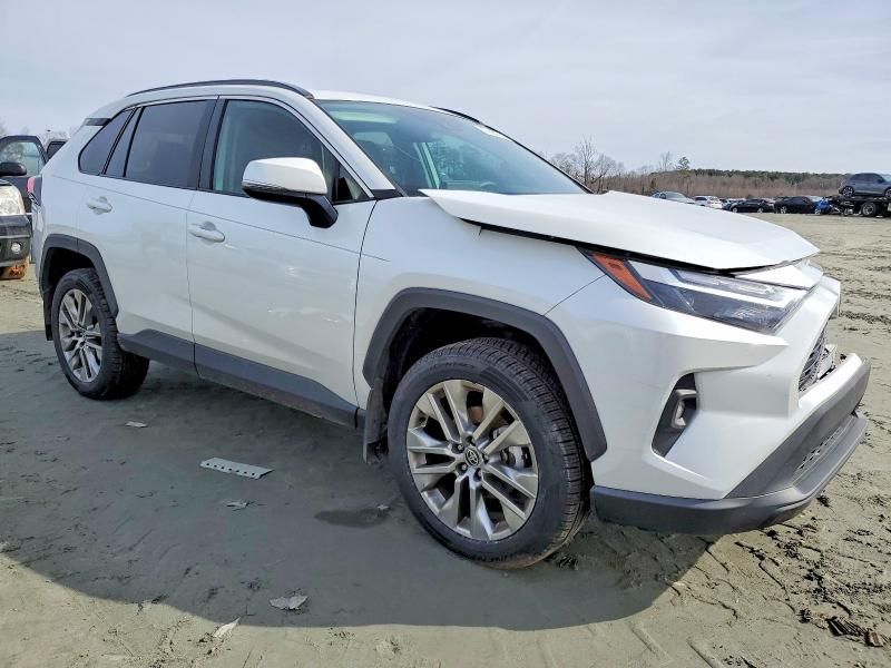 2024 Toyota Rav4 xle Premium