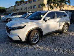 2024 Honda Cr-v exl for sale in Clewiston, FL