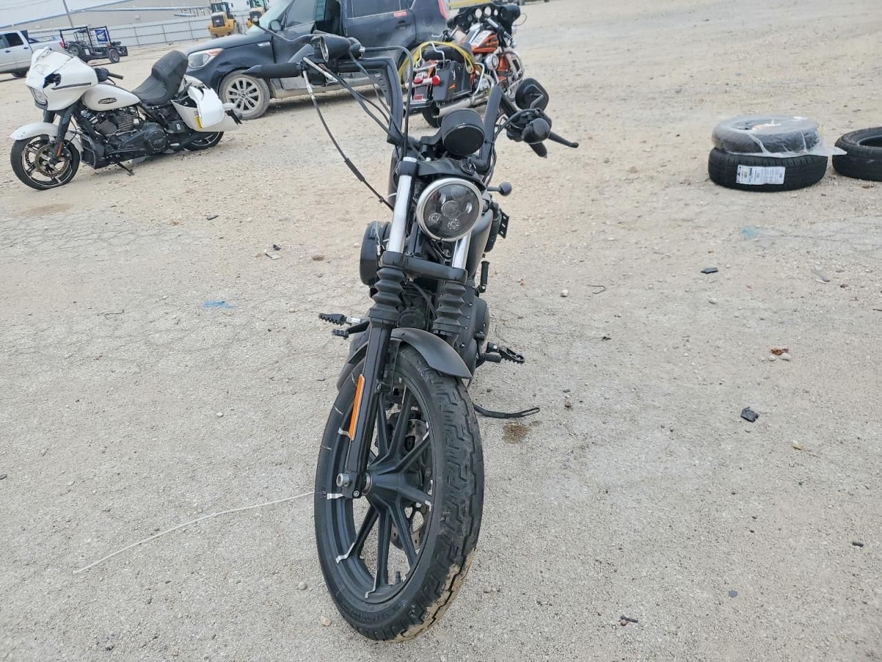 2019 Harley-Davidson XL883 N