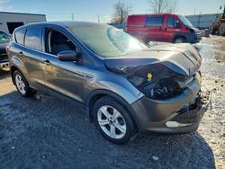 Ford Escape salvage cars for sale: 2015 Ford Escape