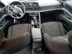 2025 Hyundai Elantra Blue