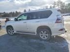 2016 Lexus Gx 460