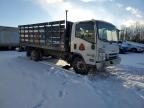 2024 Isuzu NPR HD Flatbed Truck
