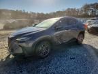 2022 Lexus Nx 250
