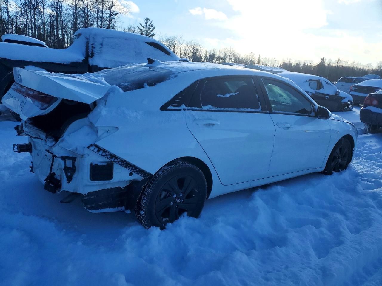 2023 Hyundai Elantra sel