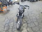 2024 Harley-Davidson RH975 S
