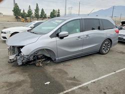 2023 Honda Odyssey exl for sale in Rancho Cucamonga, CA