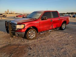 Ford salvage cars for sale: 2013 Ford F150 Supercrew