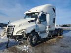 2020 Freightliner Cascadia 126 Truck Cab AND Chassis