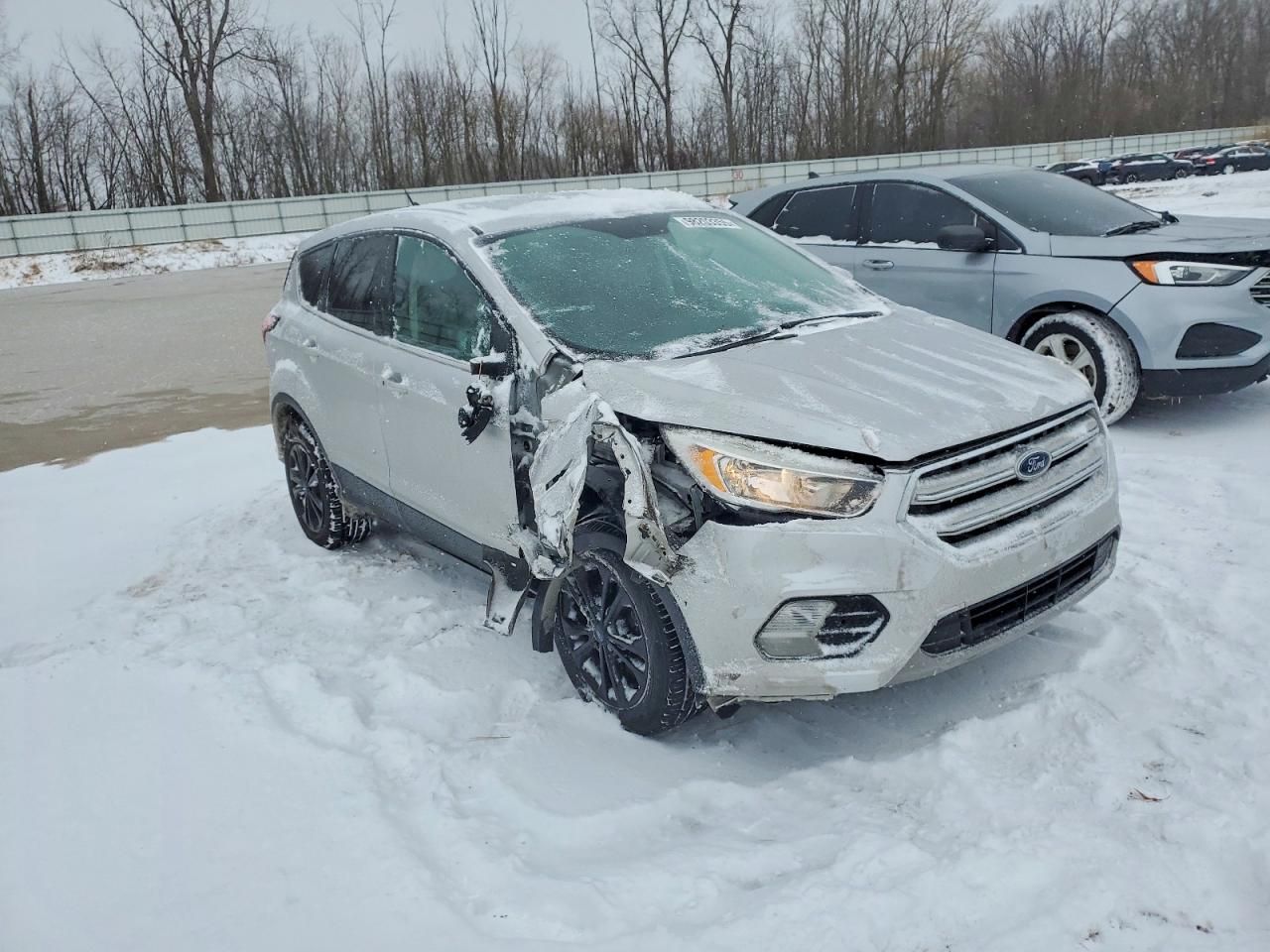 2019 Ford Escape se