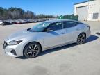 2021 Niss Maxima sv