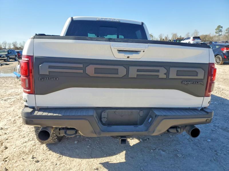 2019 Ford F150 Raptor