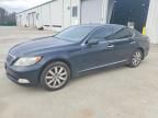2008 Lexus Ls 460 Base