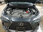 2022 Lexus Nx 250 Base