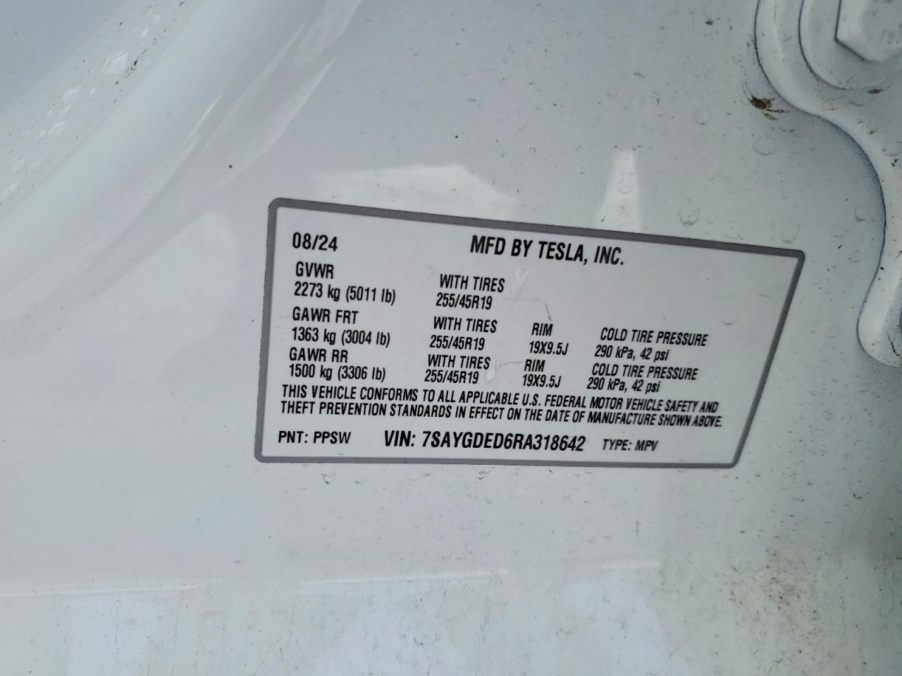 2024 Tesla Model y