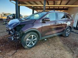 KIA Sorento salvage cars for sale: 2019 KIA Sorento ex