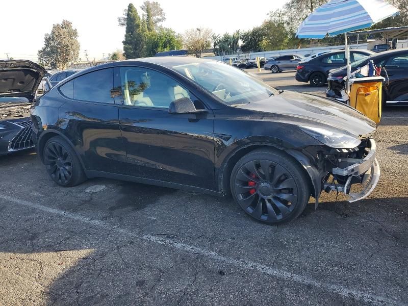 2022 Tesla Model y