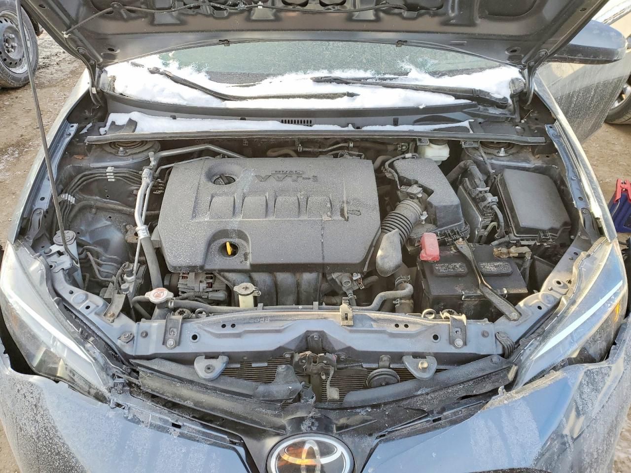 2019 Toyota Corolla l