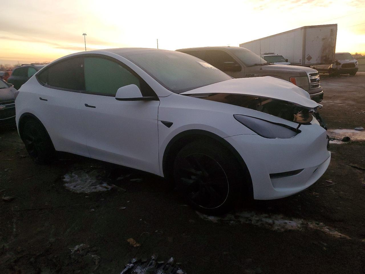 2024 Tesla Model y