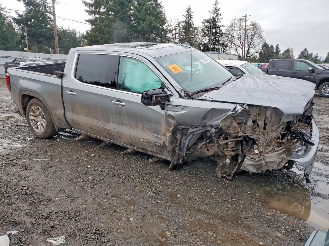 2025 GMC Sierra K1500 Denali