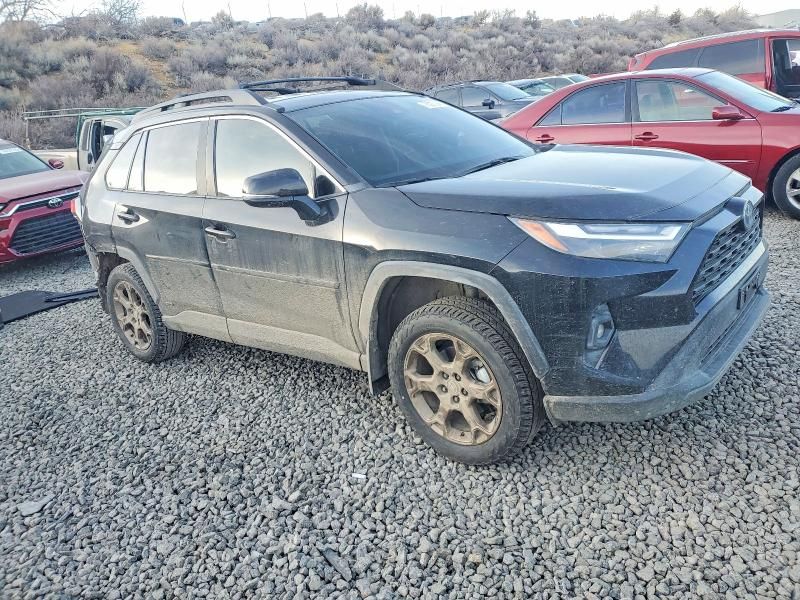 2024 Toyota Rav4 Hybrid Woodland Edition