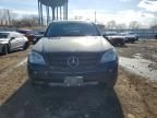 2006 Mercedes-Benz Ml 350