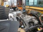 2014 Icrp 2014 IC Bus PB105 School Bus