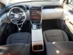 2023 Hyundai Tucson Blue